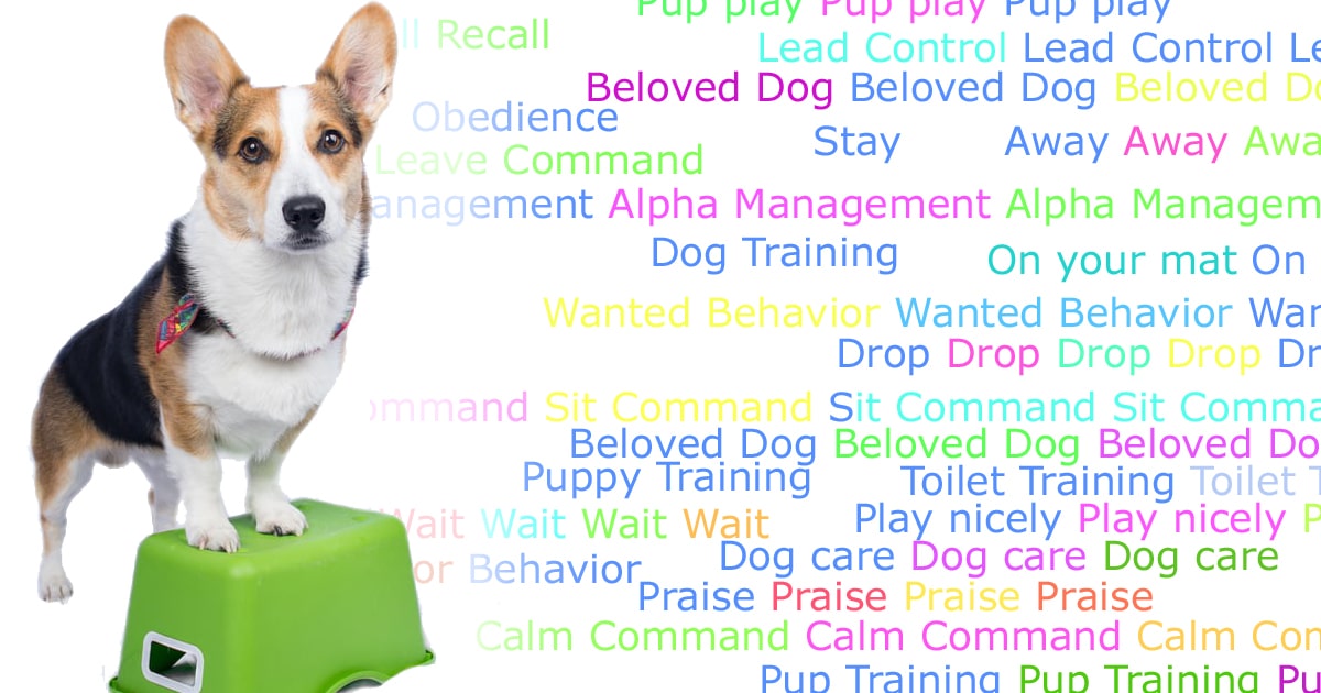 Dog Training Benefits