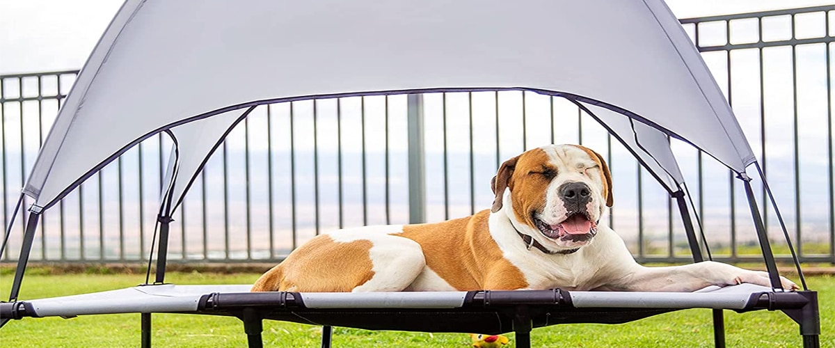 SUPERJARE X Large Outdoor Dog Bed